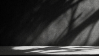 Wall Mural - abstract studio black background for product presentation. empty room with shadows of window and flo