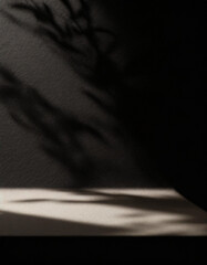 Wall Mural - abstract studio black background for product presentation. empty room with shadows of window and flo