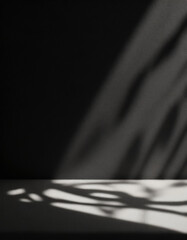 Wall Mural - abstract studio black background for product presentation. empty room with shadows of window and flo