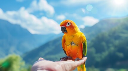 Wall Mural - Generative AI : Sun conure parrot or bird Beautiful is aratinga has yellow on hand background Blur mountains and sky