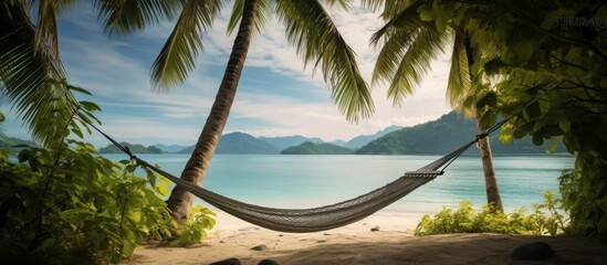 A hammock is swaying between two tall palm trees on a beautiful beach, surrounded by the tranquil blue water and clear skies, creating a picturesque natural landscape