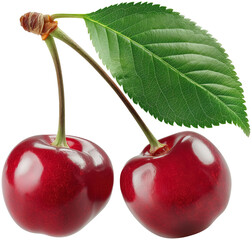 Wall Mural - cherry with leaves