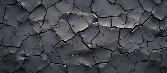 Wall Mural - A close up of a cracked grey road surface with a pattern resembling twigs. The monochrome photography captures the composite material landscape with soil