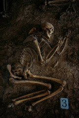 Old human skeleton in ancient tomb at archaeological excavation