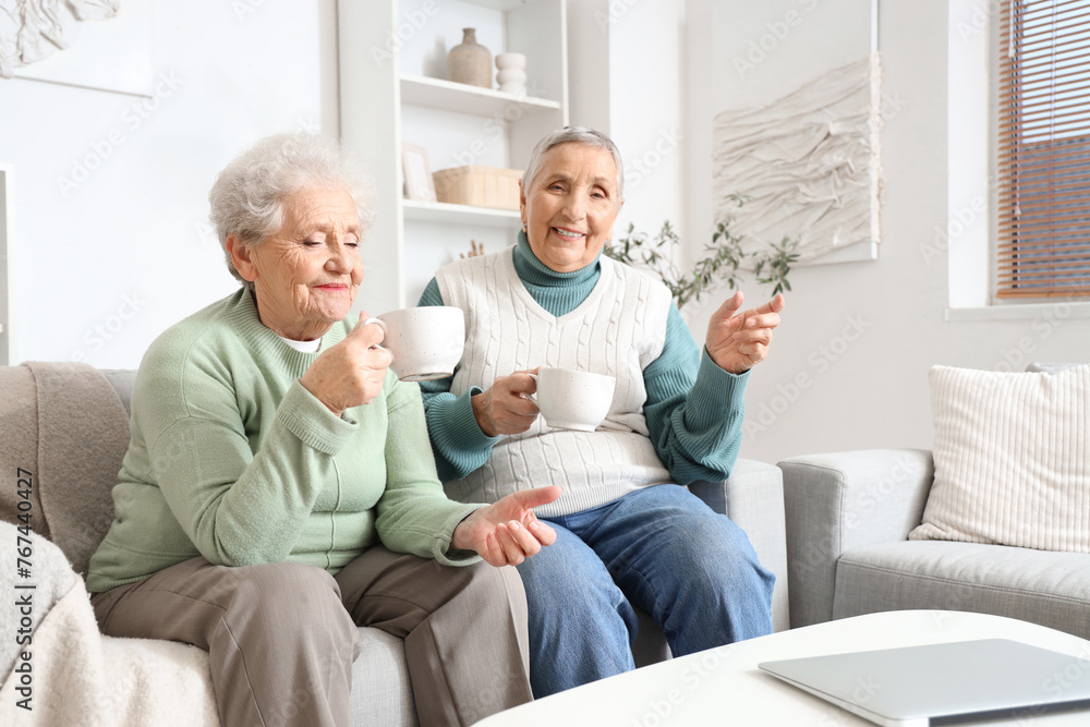 Senior female friends drinking tea on sofa at home