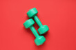 © Pixel-Shot - Pair of green dumbbells on red background