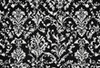 © FrameFinesse - Black and white  damask pattern background