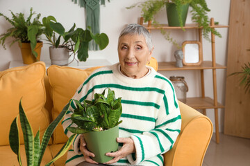 Canvas Print - Senior gardener with plant sitting on sofa at home