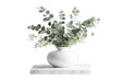 podium products empty blank 3D vase
 green beauty white stylish fresh splay beautiful render eucalyptus bouquet space marble leaves poduim table dais product background bouquet ceramic plant nature