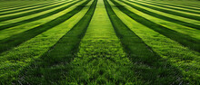 This Image Showcases A Meticulously Maintained Green Field With Neatly Mowed Grass. 