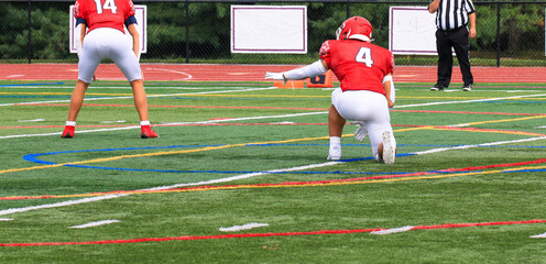 Wall Mural - The holder is ready for the ball during a field goal play