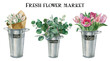 Watercolor spring flowers collection, white and pink tulip bouquets, eucalyptus leaves in a galvanized iron bucket,  fresh flower market postcard. Florist shop card