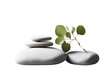 © akk png - background gray copy splay stones spase platform Stack podium twig scene product empty eucalyptus presentation leaf light Minimal poduim stone dais leaf eucalyptus pedestal platform display product