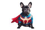 Fototapeta Dziecięca - instagram french retro super cute hero vintage bulldog toned costume filter animal authentic background best blue breed buddy canino cape companion concept creative curious different dog doggy flying