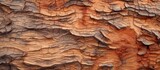 Fototapeta Las - A detailed shot of a tree trunk displaying the rough texture of the brown bark, resembling a bedrock formation. This trunk could serve as building material or rock outcrop
