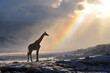 giraffe in the African savanna in the sunlight with a rainbow. mammals and wildlife
