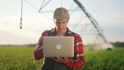 Poster - corn agriculture. a male farmer works on a laptop in a field with green corn sprouts. corn is watered sunlight by irrigation machine. irrigation agriculture business concept