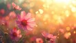 Vibrant Cosmos Flower in Field - Toned Instagram Filtered Nature Background