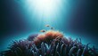 A minimalist underwater scene focusing on a small, distinct group of marine life.