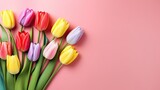Fototapeta Tulipany - Colorful Tulip Flowers on Pink Background, Top View in Flat Lay Style. Multicolor Spring Flowers Greeting for Women's Day, Mother's Day, Valentine's Day, Wedding, Anniversary, or Spring Sale Banner