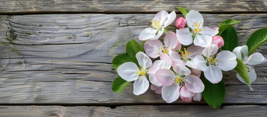  Apple blossoms are photographed on a wooden background during spring.