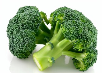 Wall Mural - A large green broccoli head sits on a white background