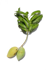 Wall Mural -  Bunch of mango 1