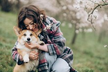 Young Woman Cuddling With Corgi Dog In Almond Blossom Garden In Prague