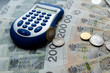 Pln polish money zloty with coin grosz and calculator