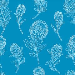 Poster - Seamless pattern with protea flowers on blue background. Tropical floral wallpaper.