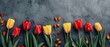 A row of red and yellow tulips are arranged on a grey background. The flowers are in full bloom and are arranged in a neat row. The grey background gives the image a calm and serene mood