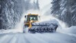 © BetterPhoto - Snow plow clearing a mountain road during a heavy snowfall