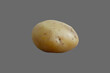 Tuber, root of potato vegetable.