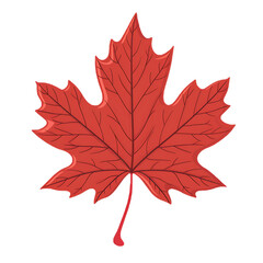 Wall Mural - Cute clipart of maple leaves on transparent background PNG is easy to implement.