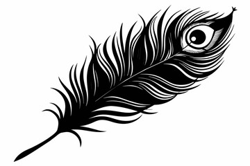 Wall Mural - peacock-feather-black-silhouette-vector-white-background.