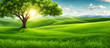 natural green grass meadow landscape, sunshine through large tree and mountains. panoramic view hill countryside spring summer
