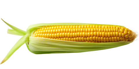 Wall Mural - Single ear of corn isolated on white background as package design element