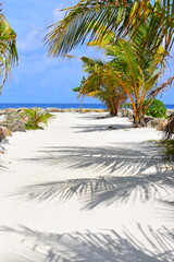 Wall Mural - Maafushi Maldives - February 2022 : Beautiful turquoise waters on a hot sunny relaxing day. 