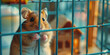 Cute Hamster with Toy House in a cage. Pet and rodent products and accessories store.