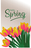 Fototapeta Tulipany - vector bouquet of tulips blossom flowers and leafs with Hello Spring Text illustration hand drawn