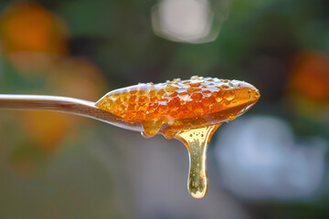 Wall Mural - A honey spoon made of natural materials , dripping honey