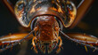 Macro shot of an exotic, detailed insect head with menacing mandibles.