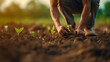 A man and women planting a seedling in a freshly tilled field and garden