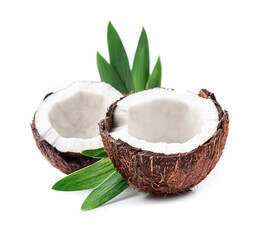 Poster - Coconut with leaves on white backgrounds