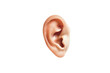 © ink drop - A cut out ear isolated on a plain background