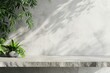 Abstract concrete kitchen with white texture and plant display.