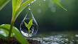 A Dewdrop’s Enigmatic Dance with Nature