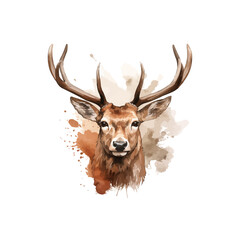 Wall Mural - head of deer watercolor vector illustration,elk head with big horns