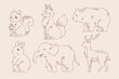 Animal drawing linear flat set