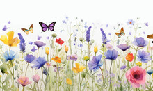 Watercolor Floral Seamless Border Wildflowers: Summer Flower, Blossom, Poppies, Chamomile, Dandelions, Cornflowers, Lavender, Violet, Bluebell, Clover, Buttercup, Butterfly.